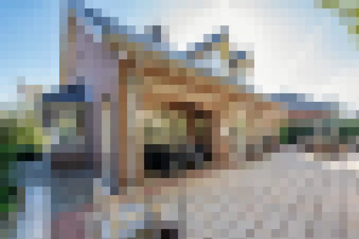 van Swietenstraat 2 Venlo thumbnail 32