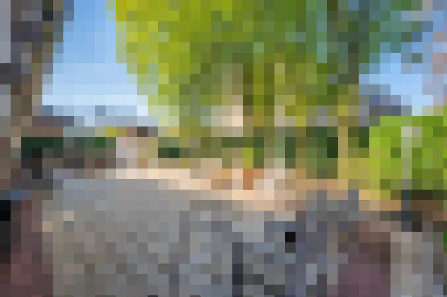 van Swietenstraat 2 Venlo thumbnail 33