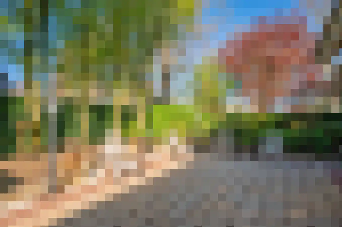 van Swietenstraat 2 Venlo thumbnail 34