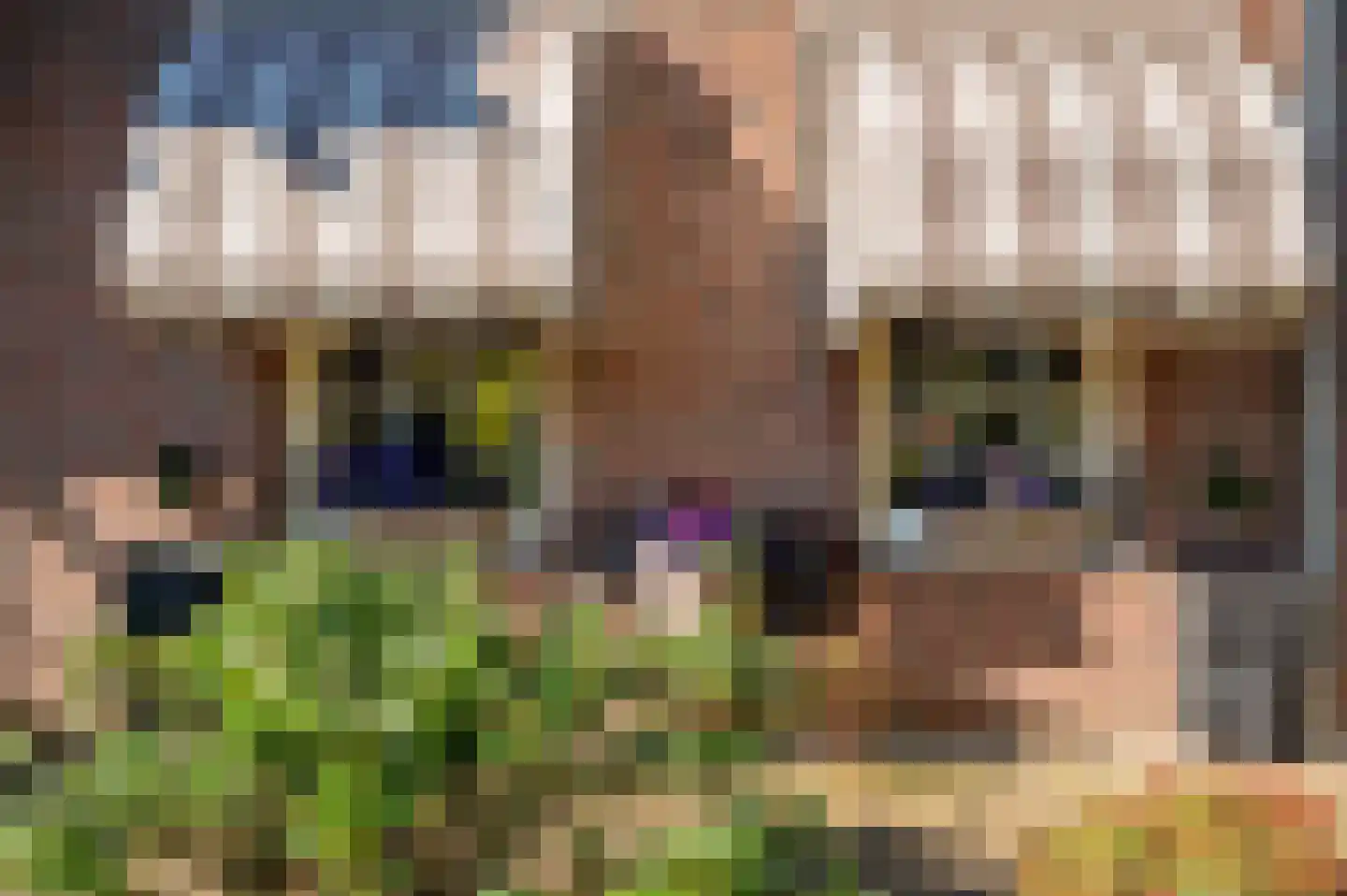van Swietenstraat 2 Venlo thumbnail 38