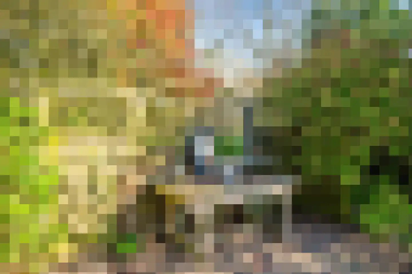 van Swietenstraat 2 Venlo thumbnail 41