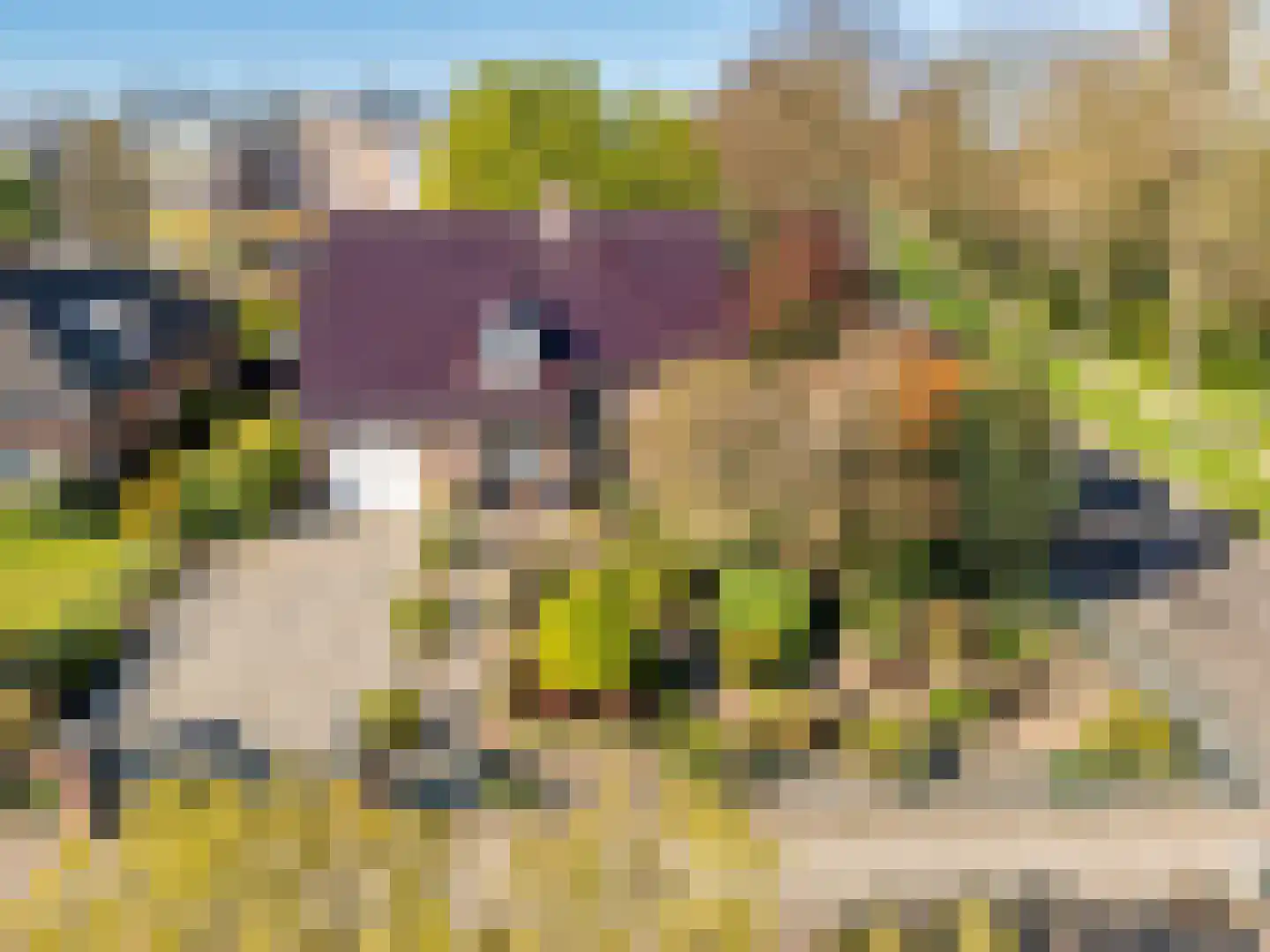van Swietenstraat 2 Venlo thumbnail 42