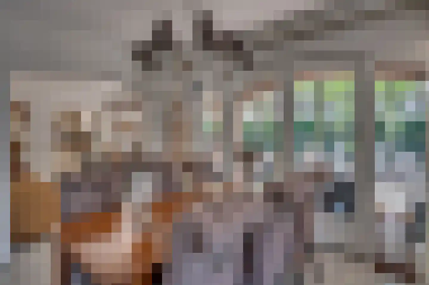 van Swietenstraat 2 Venlo thumbnail 5