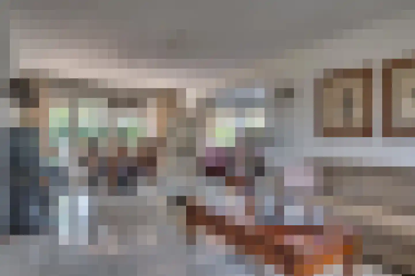 van Swietenstraat 2 Venlo thumbnail 7