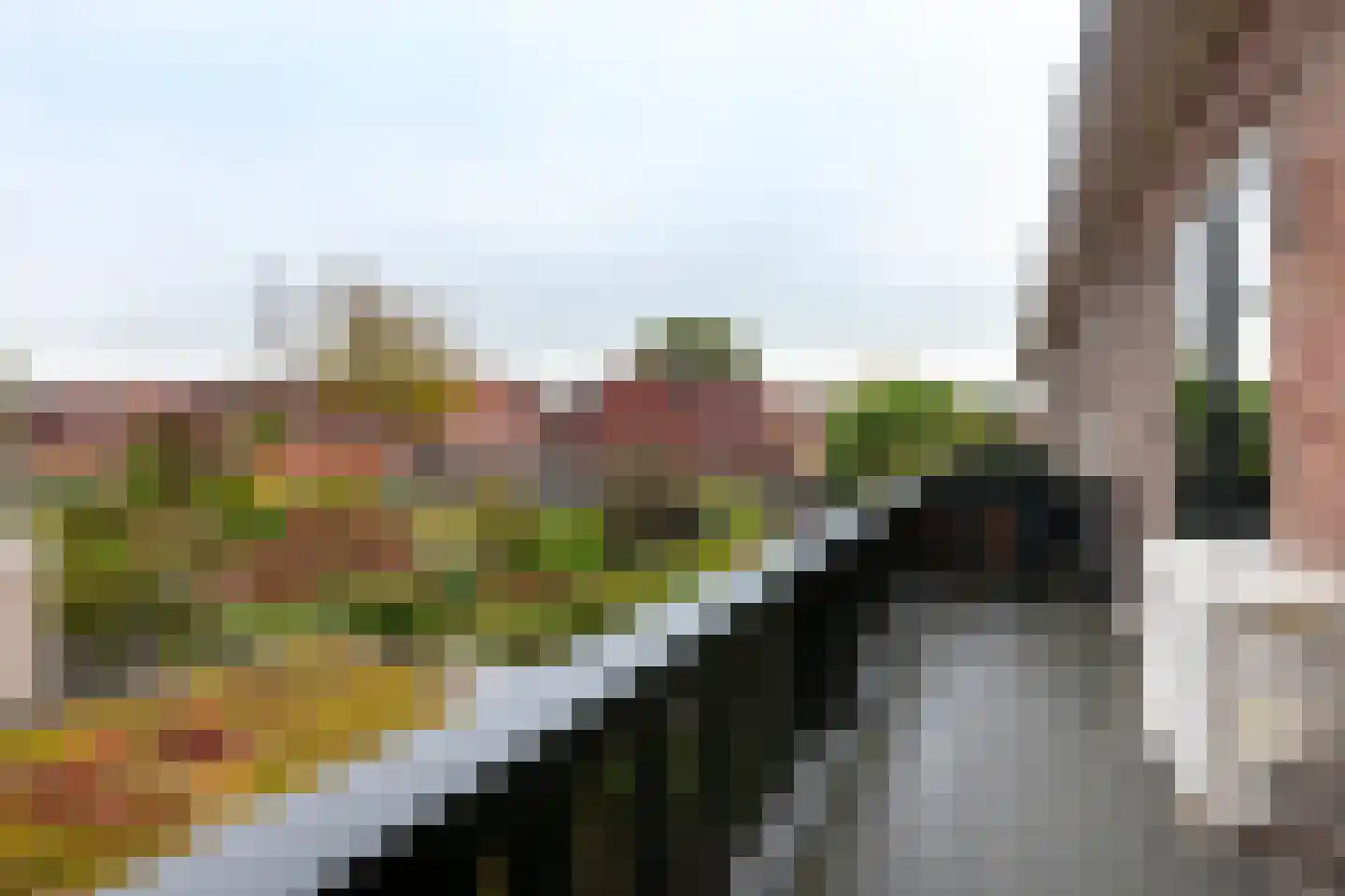 van Swietenstraat 26 Gouda thumbnail 38