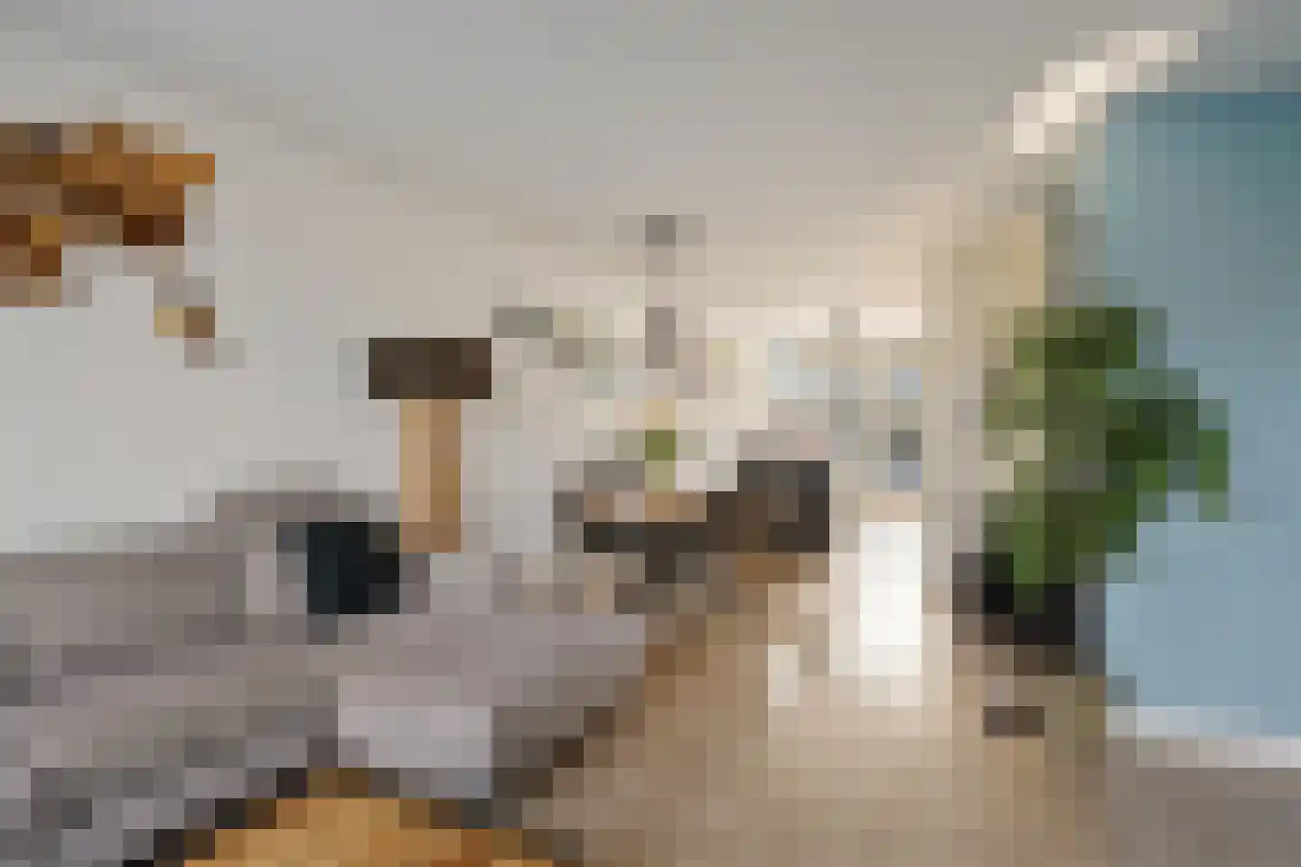 van Swietenstraat 3 Kudelstaart thumbnail 12