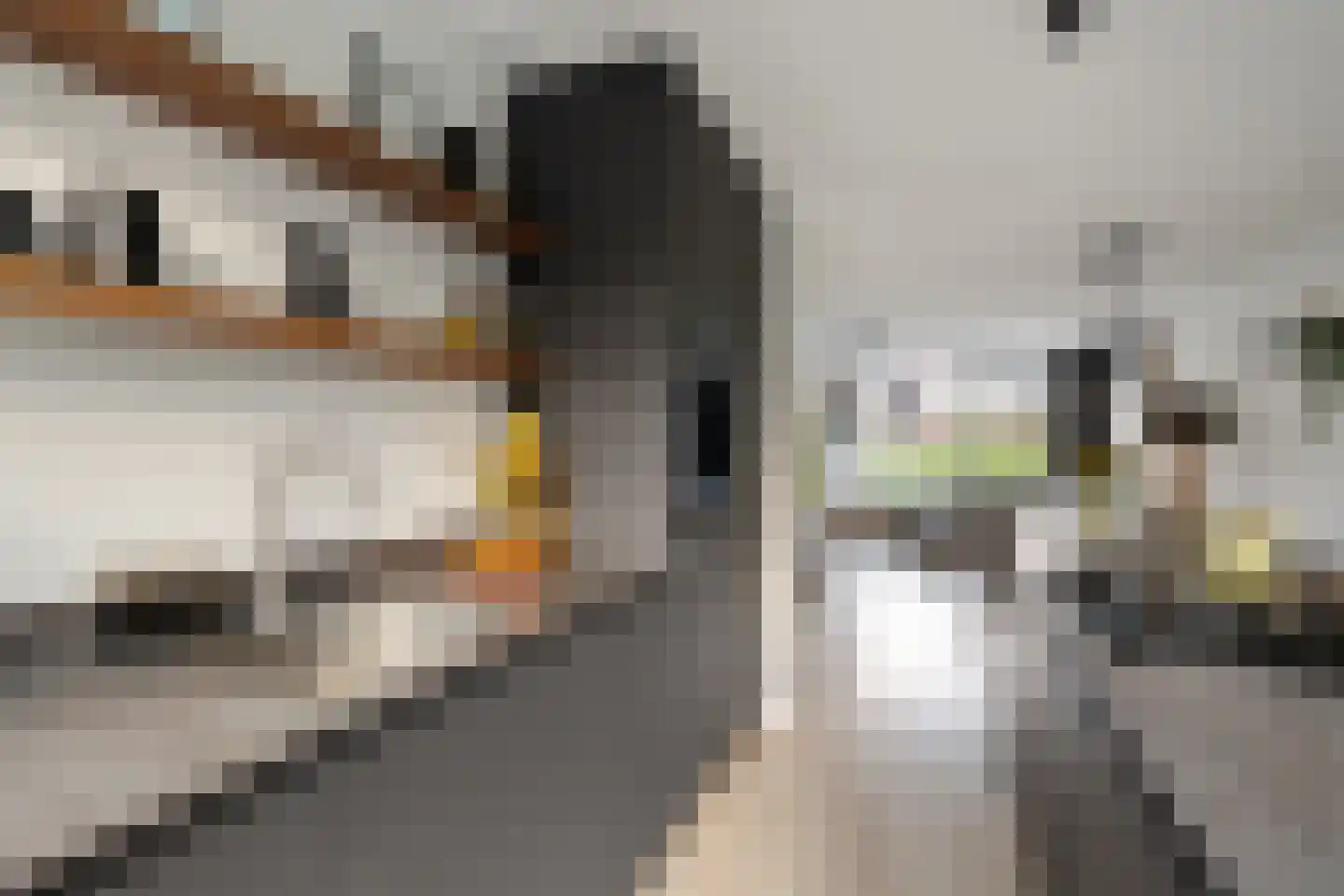 van Swietenstraat 3 Kudelstaart thumbnail 17
