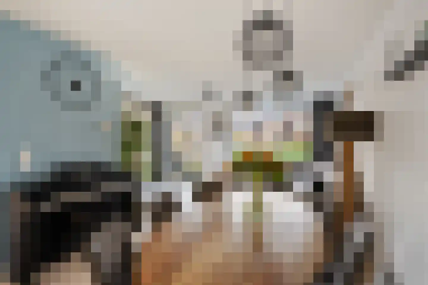 van Swietenstraat 3 Kudelstaart thumbnail 19