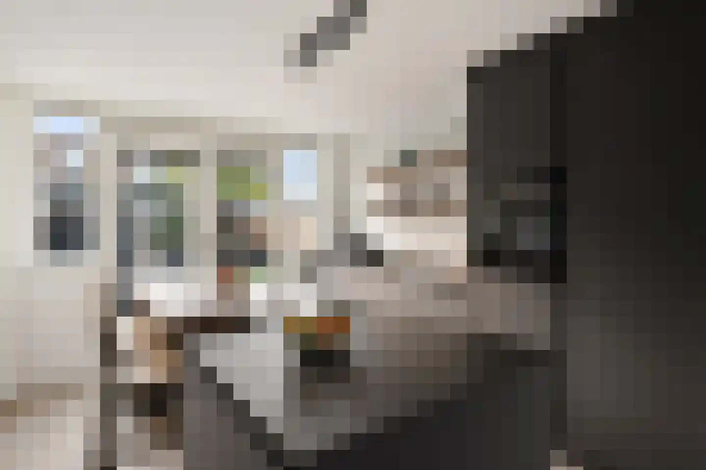 van Swietenstraat 3 Kudelstaart thumbnail 4