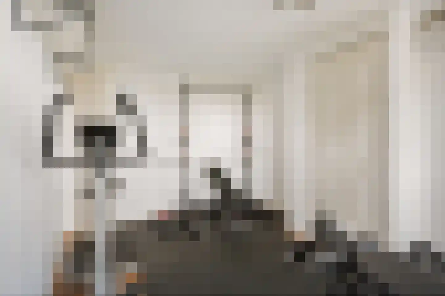 van Swietenstraat 3 Kudelstaart thumbnail 41