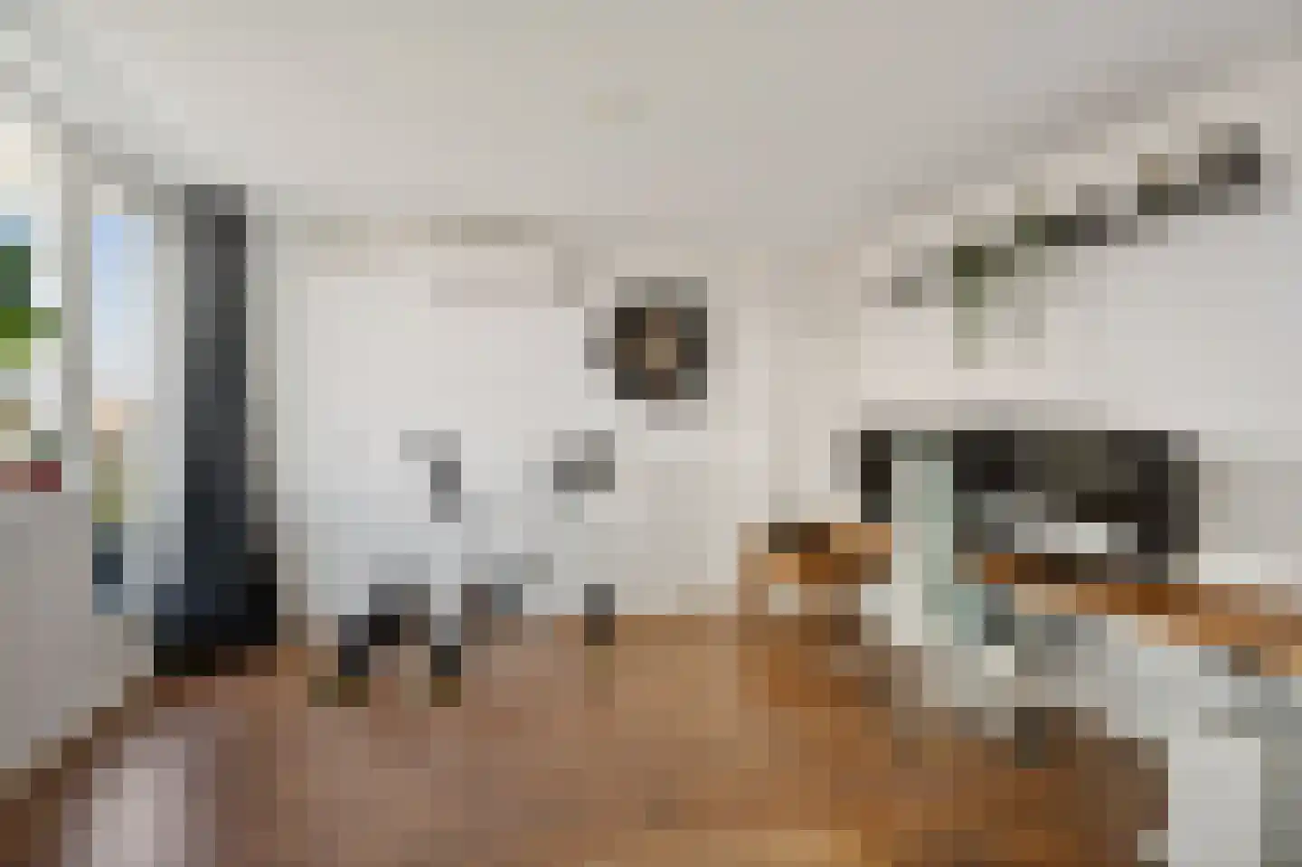 van Swietenstraat 3 Kudelstaart thumbnail 43