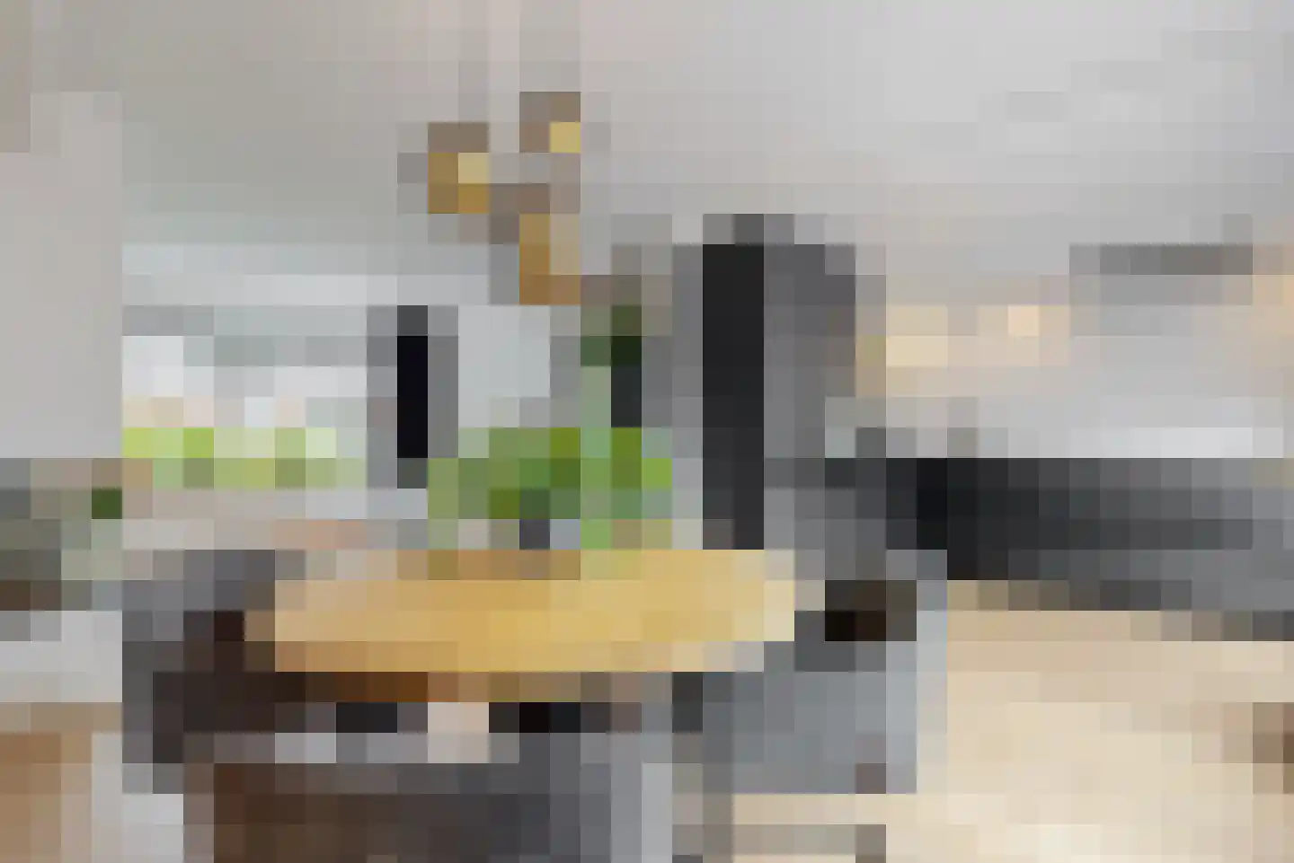 van Swietenstraat 4 Zoeterwoude thumbnail 12