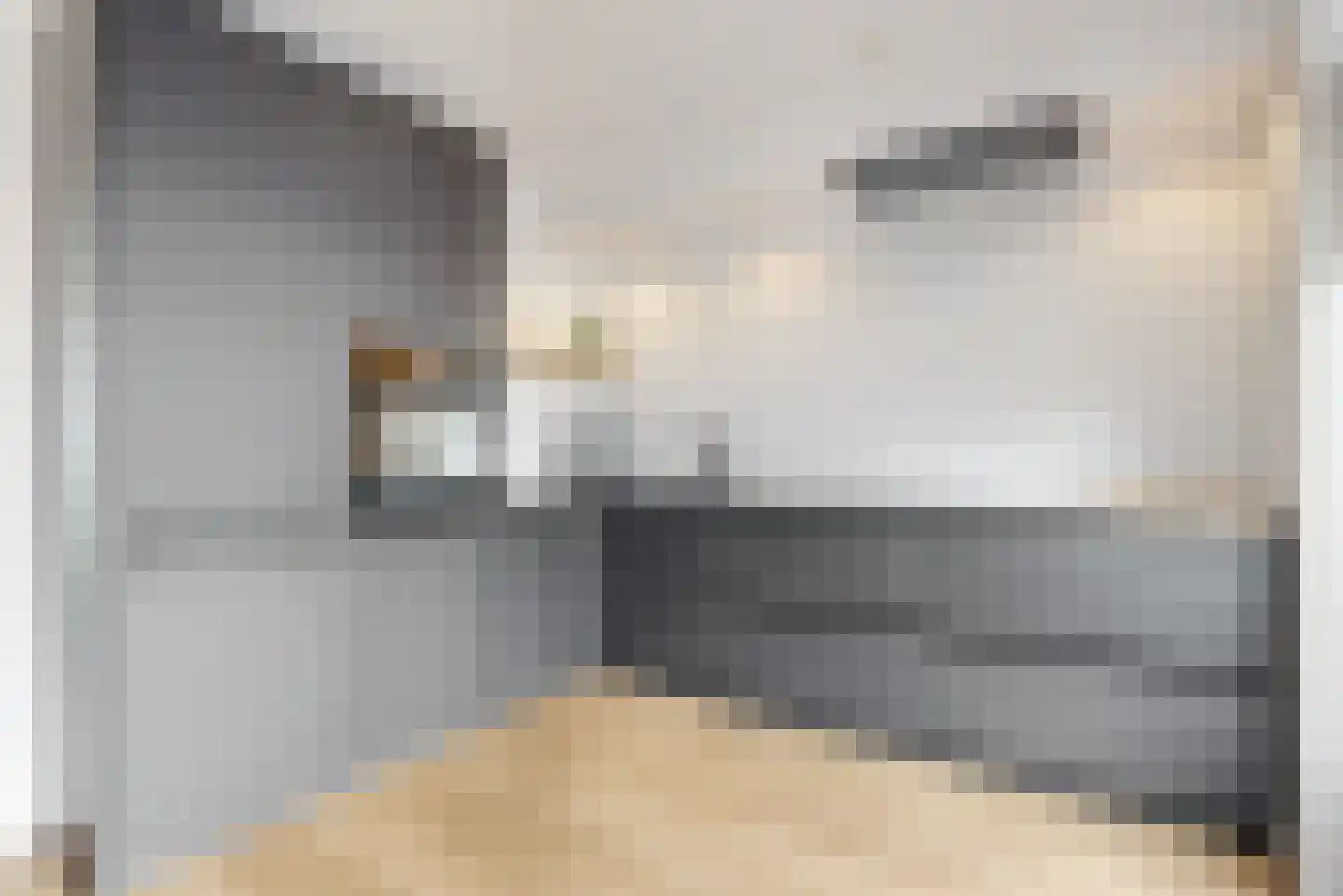 van Swietenstraat 4 Zoeterwoude thumbnail 13