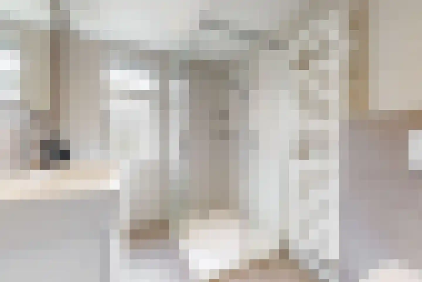 van Swietenstraat 4 Zoeterwoude thumbnail 20