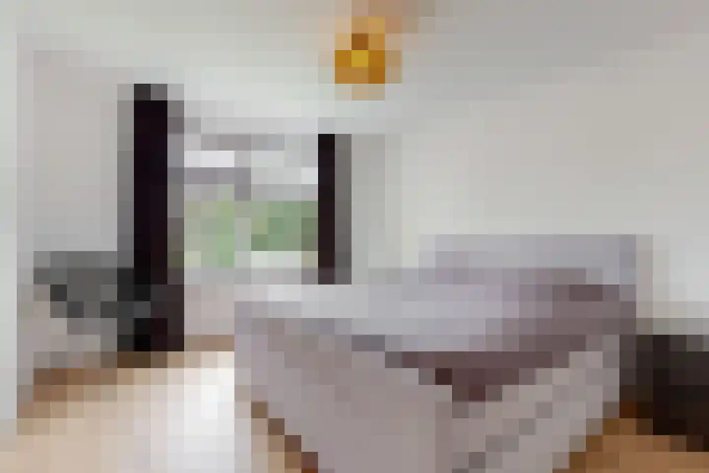 van Swietenstraat 4 Zoeterwoude thumbnail 23