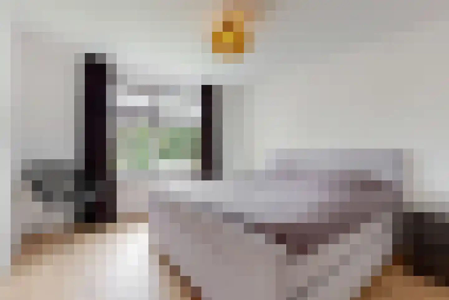 van Swietenstraat 4 Zoeterwoude thumbnail 23