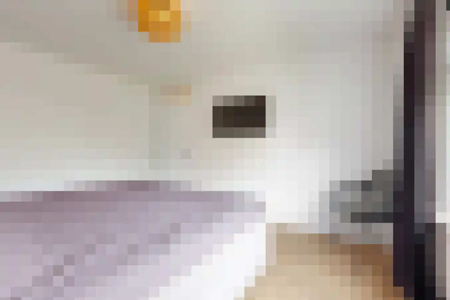 van Swietenstraat 4 Zoeterwoude thumbnail 24
