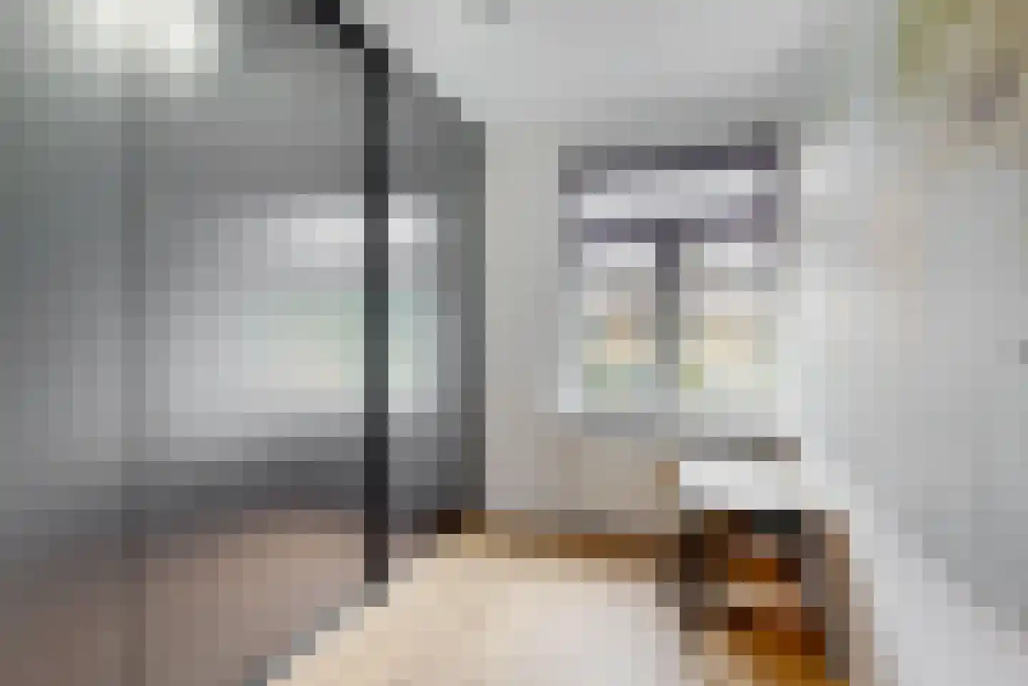 van Swietenstraat 4 Zoeterwoude thumbnail 25