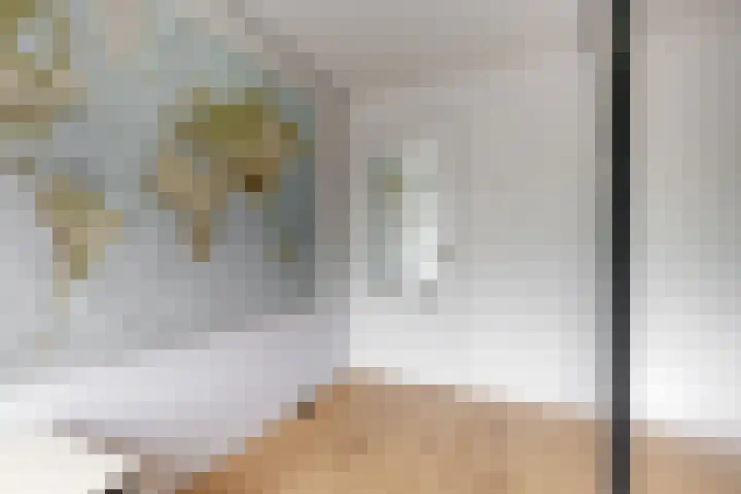 van Swietenstraat 4 Zoeterwoude thumbnail 26