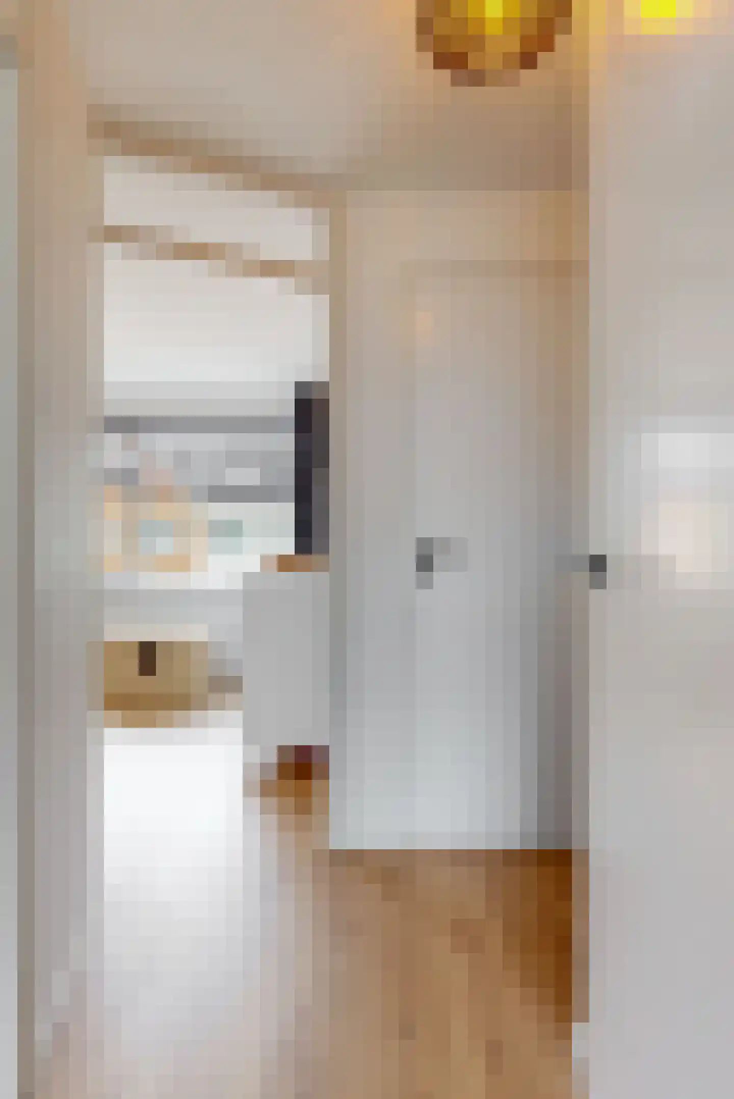 van Swietenstraat 4 Zoeterwoude thumbnail 27
