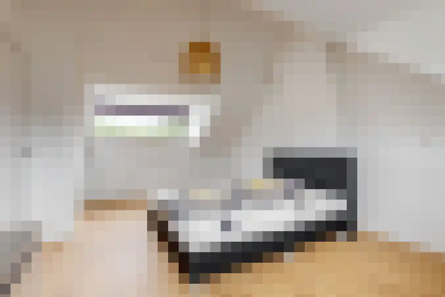 van Swietenstraat 4 Zoeterwoude thumbnail 29