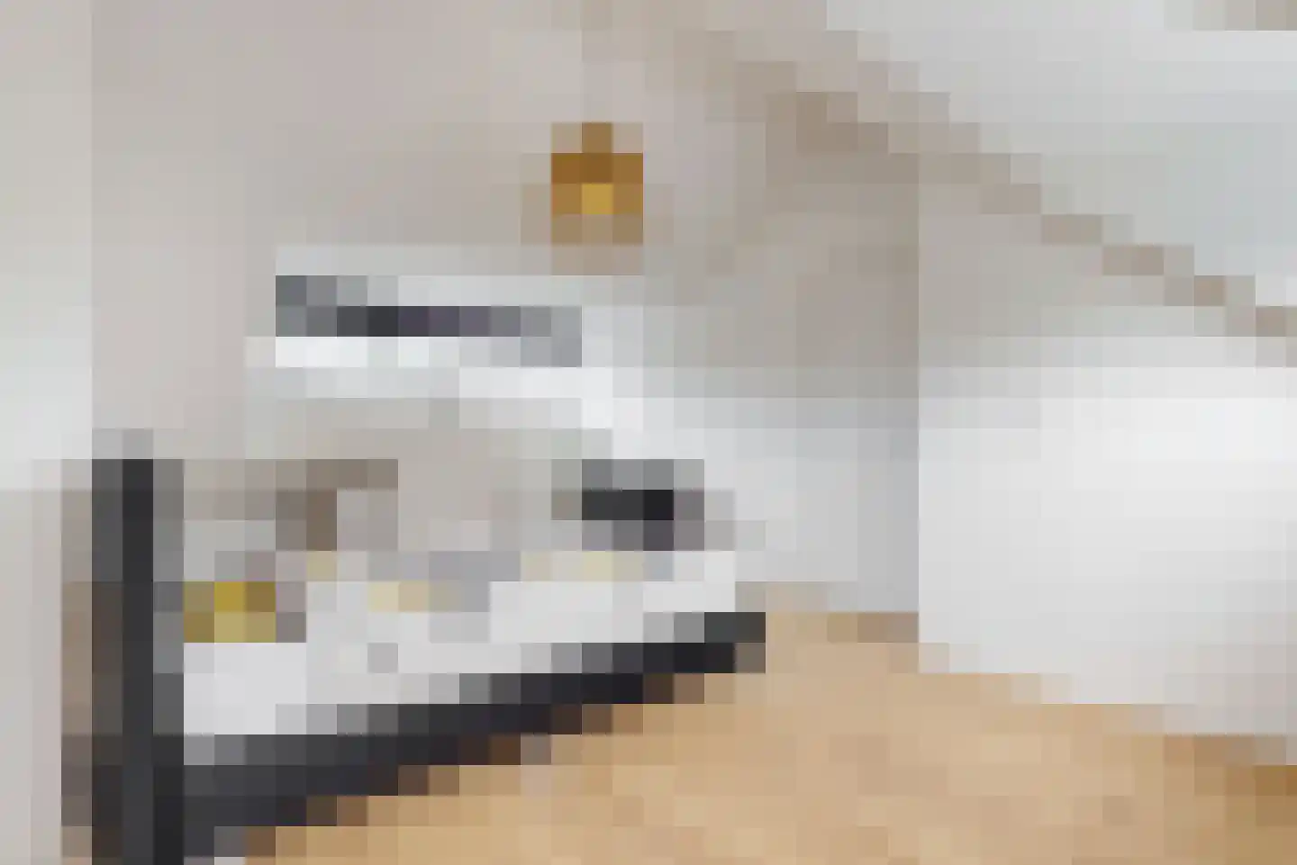 van Swietenstraat 4 Zoeterwoude thumbnail 30