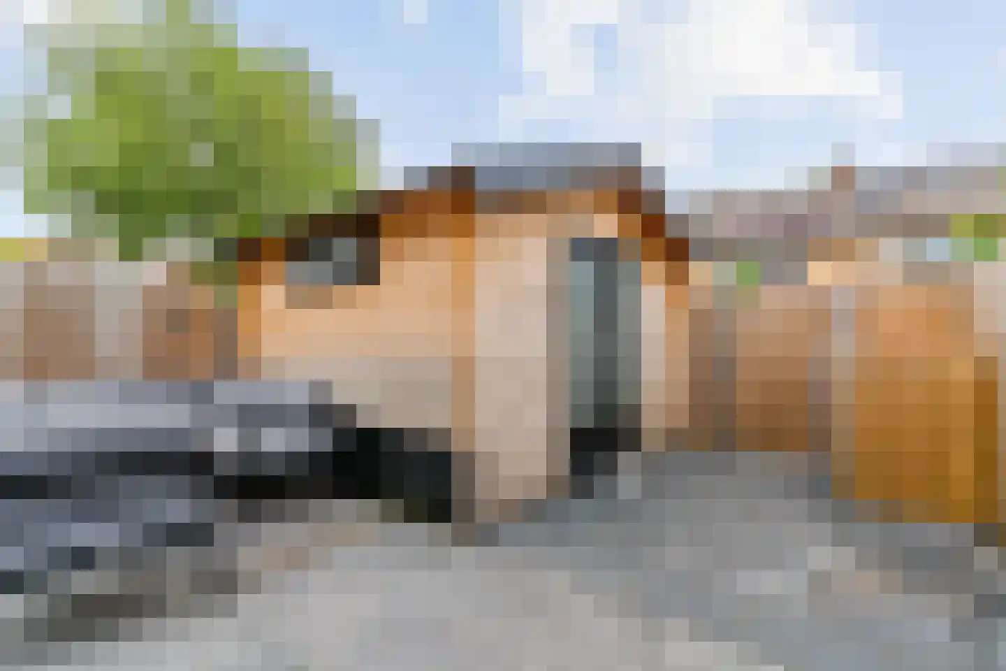 van Swietenstraat 4 Zoeterwoude thumbnail 37