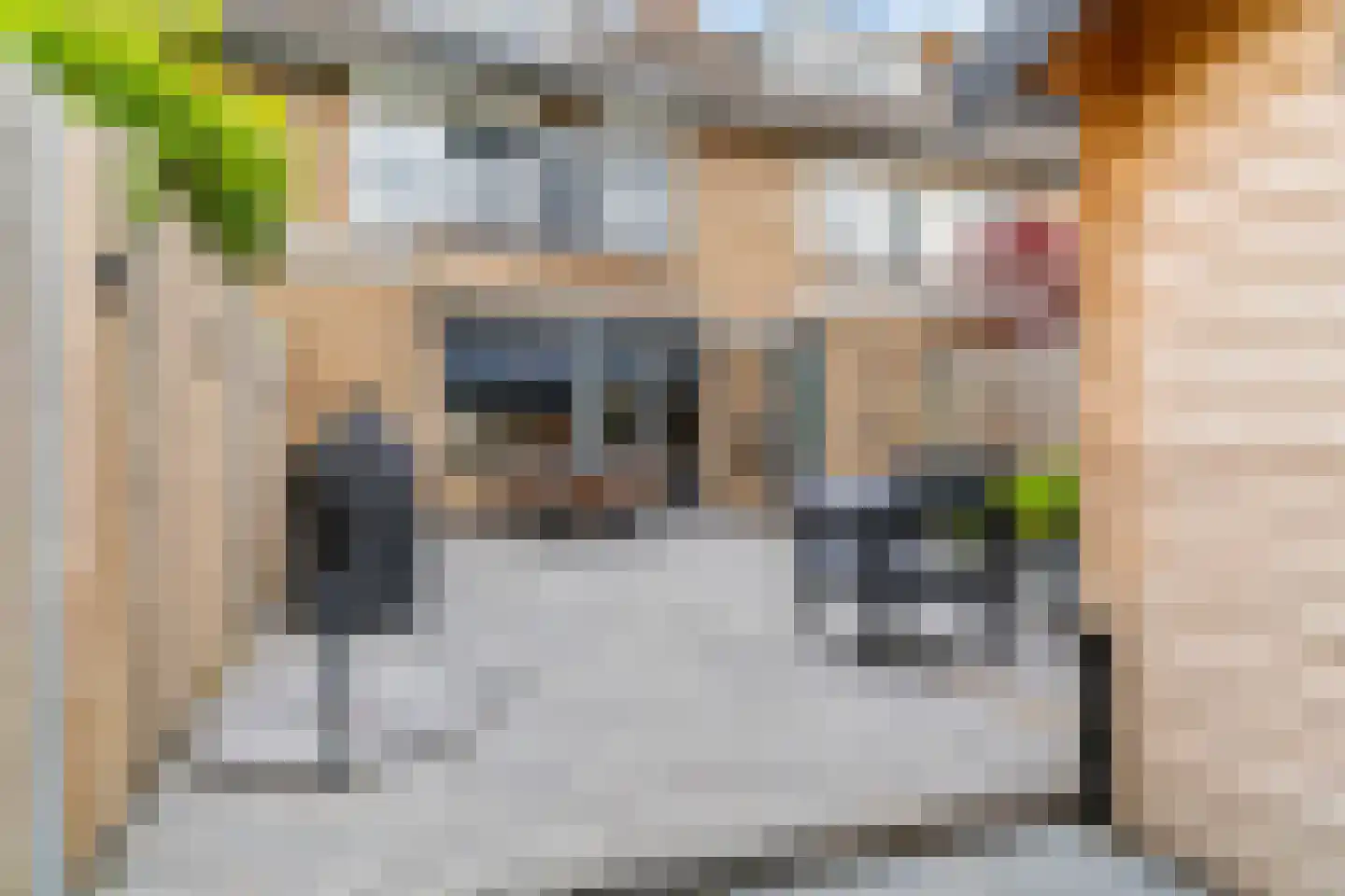 van Swietenstraat 4 Zoeterwoude thumbnail 38