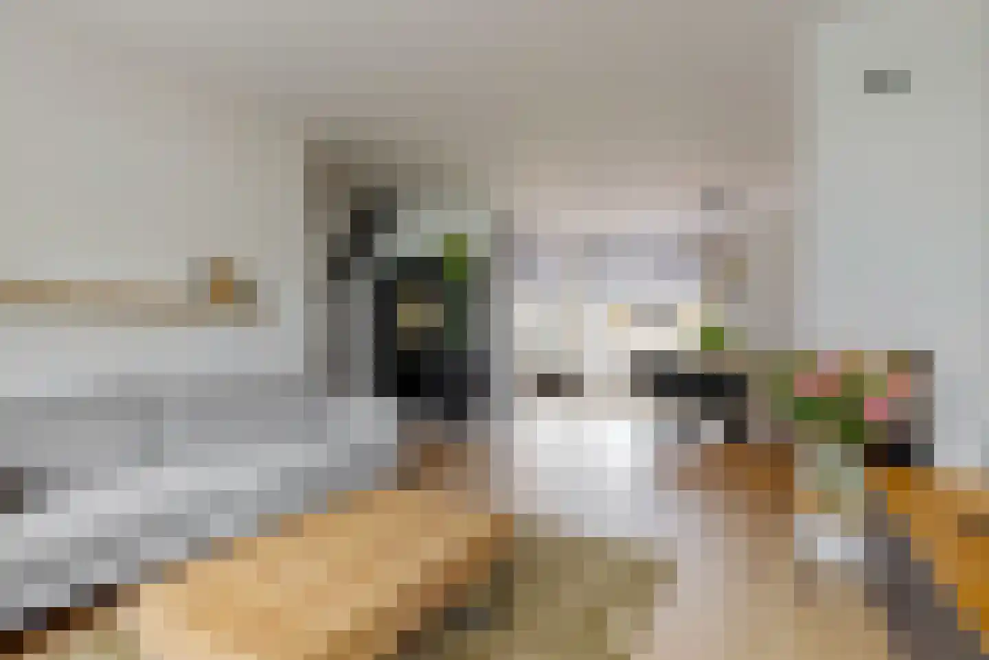 van Swietenstraat 4 Zoeterwoude thumbnail 5