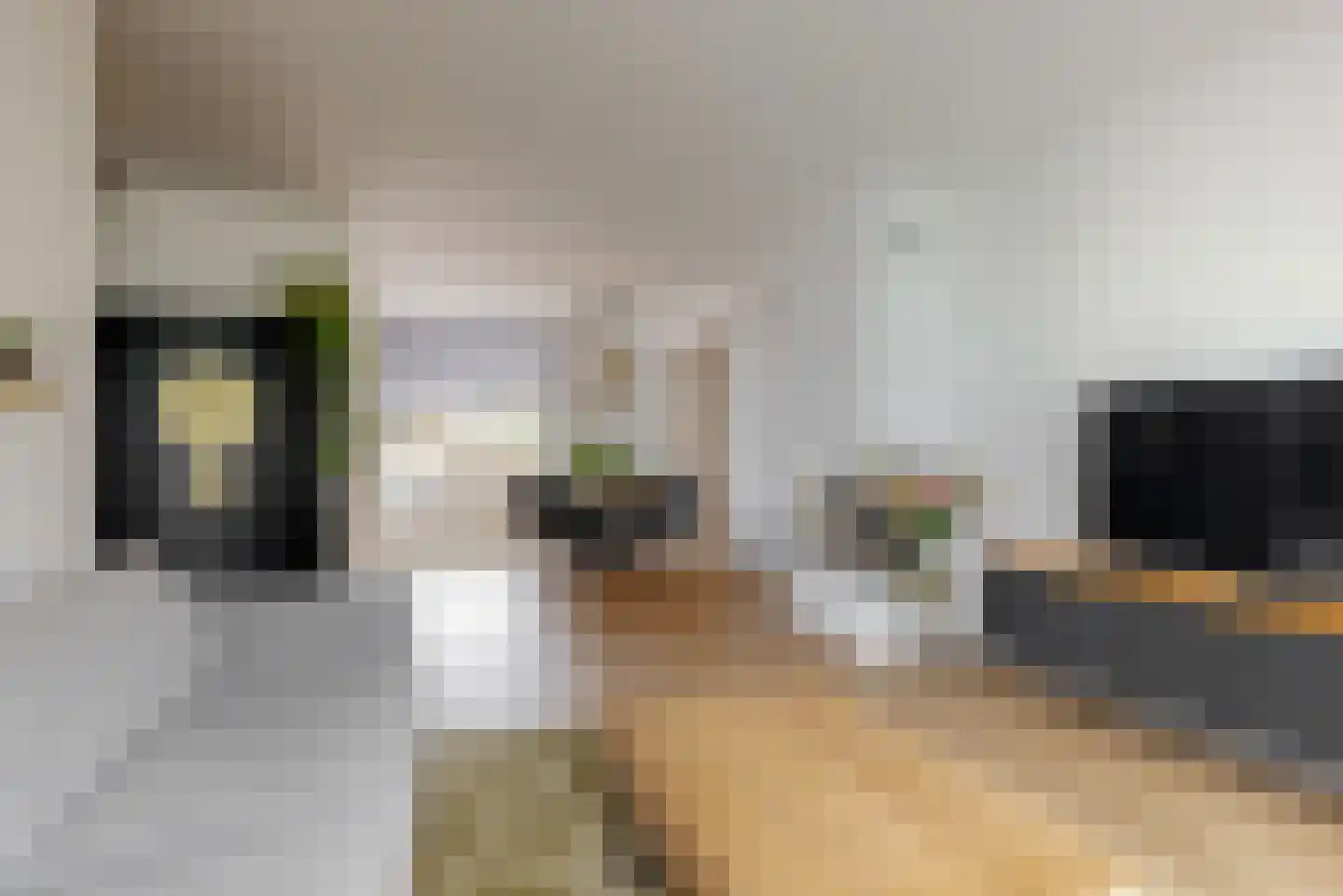 van Swietenstraat 4 Zoeterwoude thumbnail 6