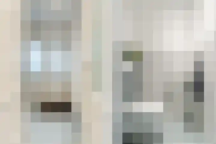 van Swietenstraat 41 Zoeterwoude thumbnail 10