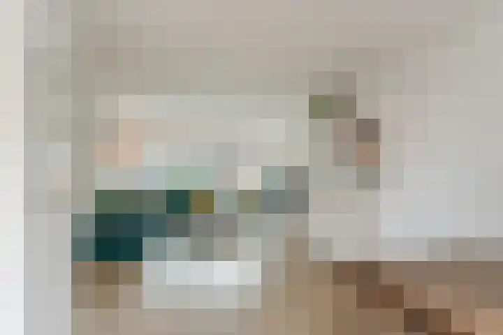 van Swietenstraat 41 Zoeterwoude thumbnail 15