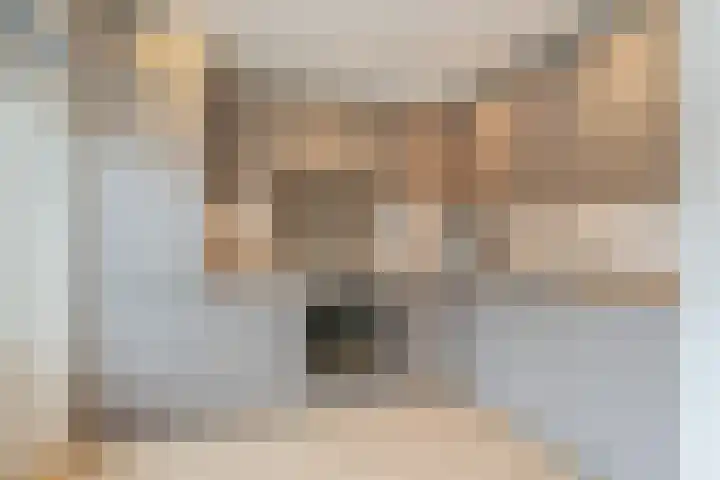 van Swietenstraat 41 Zoeterwoude thumbnail 18