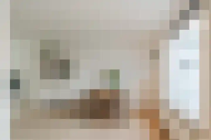 van Swietenstraat 41 Zoeterwoude thumbnail 22