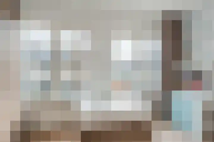 van Swietenstraat 41 Zoeterwoude thumbnail 26