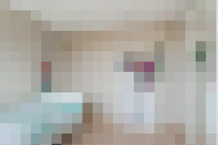van Swietenstraat 41 Zoeterwoude thumbnail 35