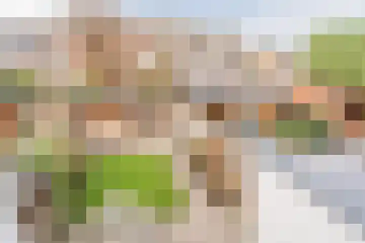 van Swietenstraat 41 Zoeterwoude thumbnail 43