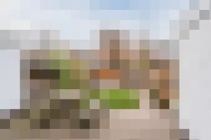 van Swietenstraat 41 Zoeterwoude thumbnail 44