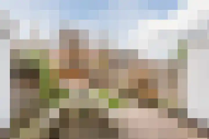 van Swietenstraat 41 Zoeterwoude thumbnail 45