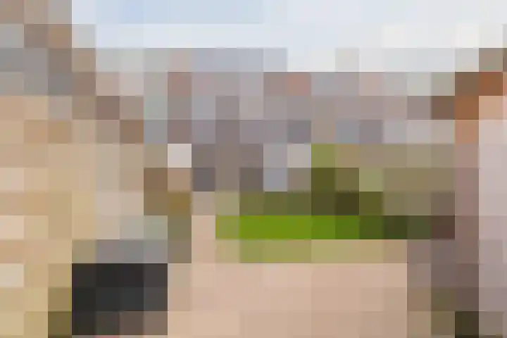 van Swietenstraat 41 Zoeterwoude thumbnail 48