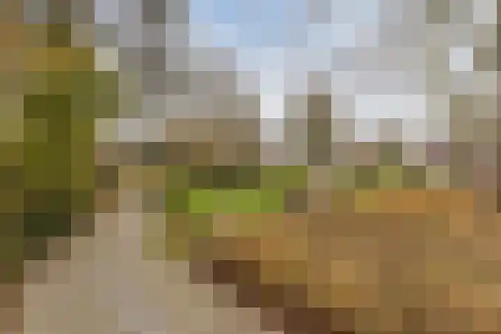 van Swietenstraat 41 Zoeterwoude thumbnail 49