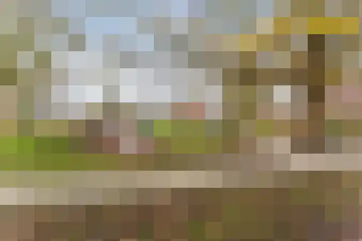 van Swietenstraat 41 Zoeterwoude thumbnail 50
