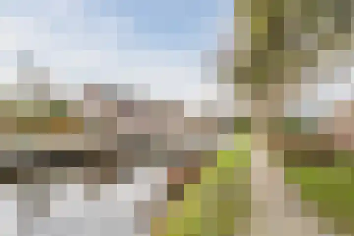 van Swietenstraat 41 Zoeterwoude thumbnail 51