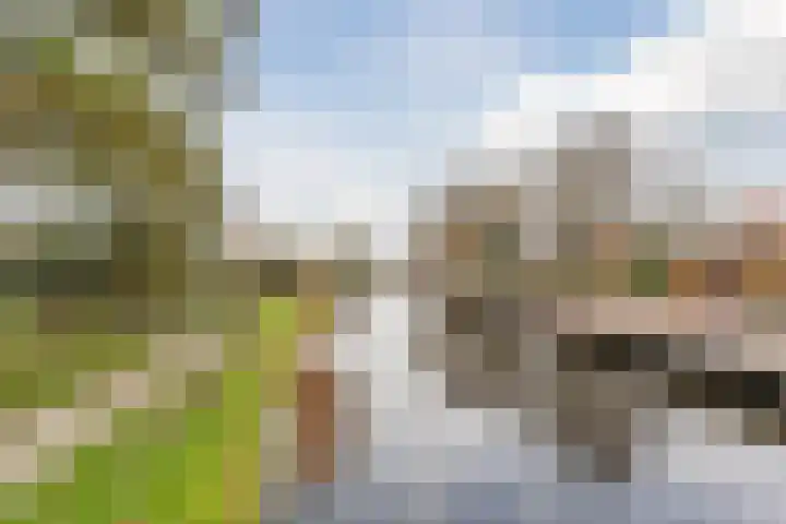 van Swietenstraat 41 Zoeterwoude thumbnail 52