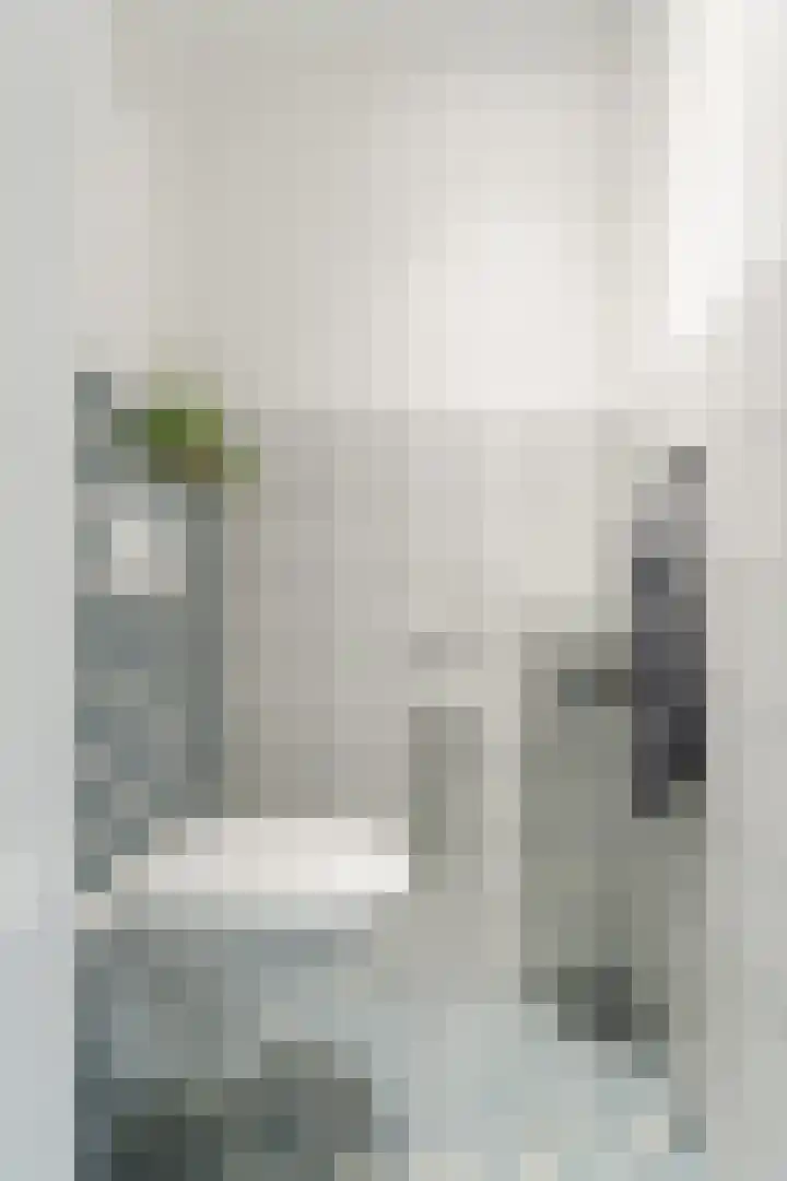 van Swietenstraat 41 Zoeterwoude thumbnail 9