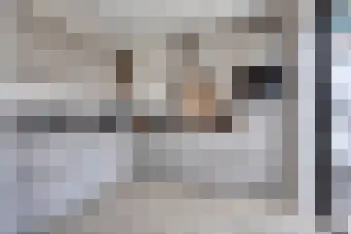 van Swietenstraat 50 Zoeterwoude thumbnail 12