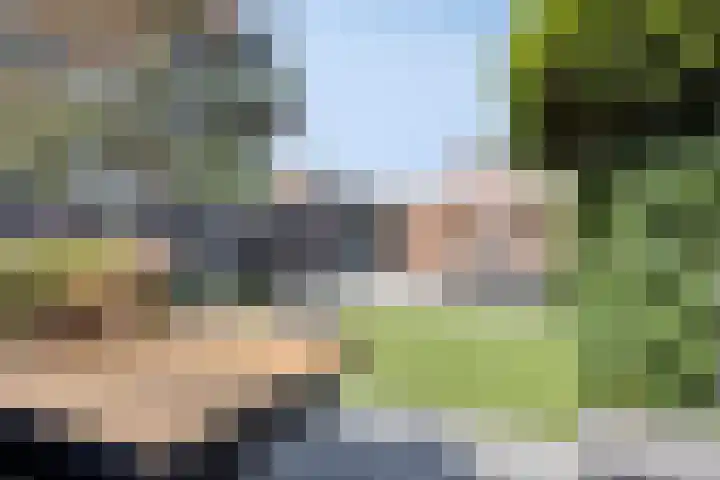 van Swietenstraat 50 Zoeterwoude thumbnail 19