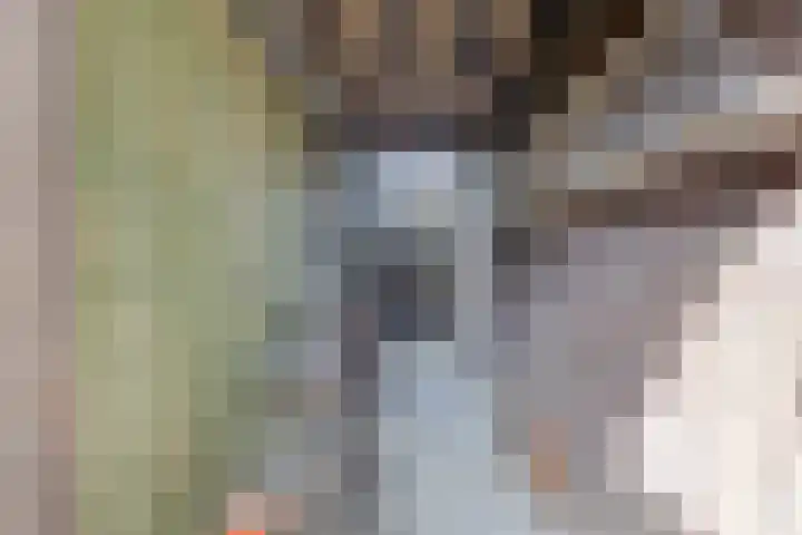 van Swietenstraat 50 Zoeterwoude thumbnail 20