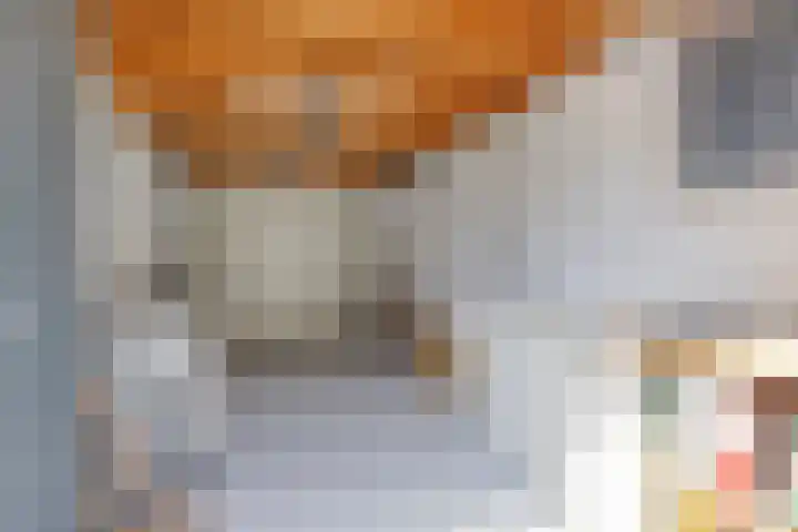 van Swietenstraat 50 Zoeterwoude thumbnail 22
