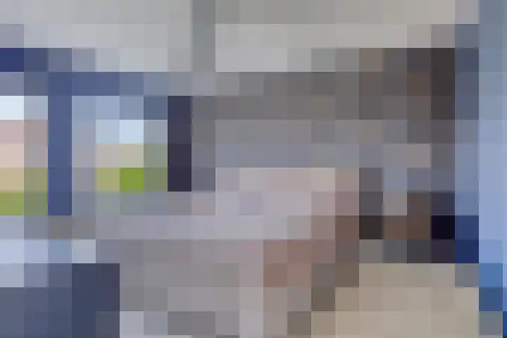 van Swietenstraat 50 Zoeterwoude thumbnail 24